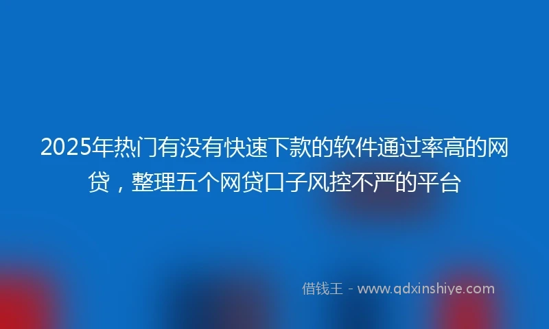 2025年热门有没有快速下款的软件通过率高的网贷，整理五个网贷口子风控不严的平台