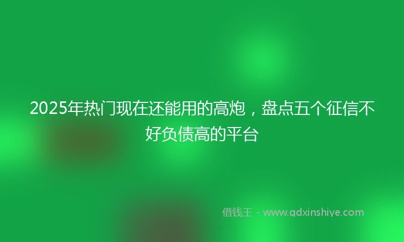 2025年热门现在还能用的高炮，盘点五个征信不好负债高的平台