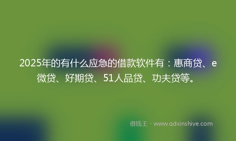 2025年的有什么应急的借款软件有：惠商贷、e微贷、好期贷、51人品贷、功夫贷等。
