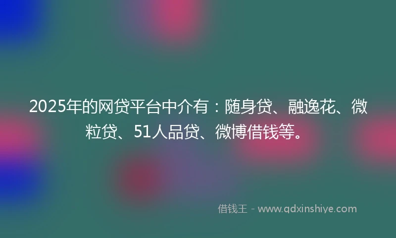 2025年的网贷平台中介有：随身贷、融逸花、微粒贷、51人品贷、微博借钱等。