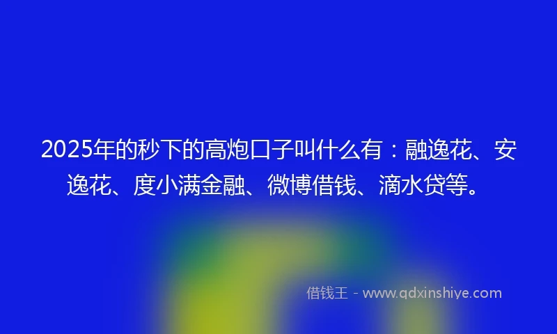 2025年的秒下的高炮口子叫什么有：融逸花、安逸花、度小满金融、微博借钱、滴水贷等。