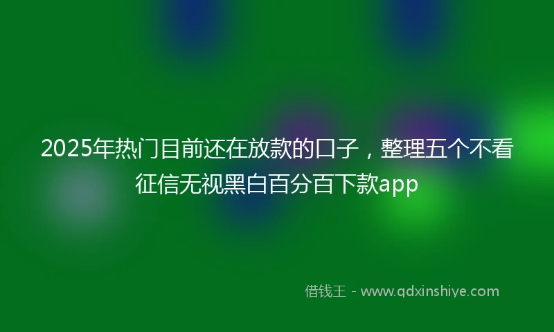 2025年热门目前还在放款的口子，整理五个不看征信无视黑白百分百下款app
