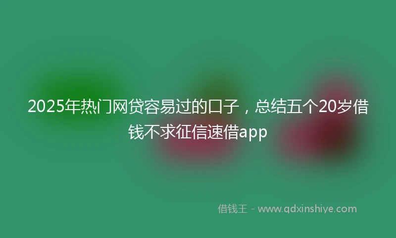 2025年热门网贷容易过的口子，总结五个20岁借钱不求征信速借app