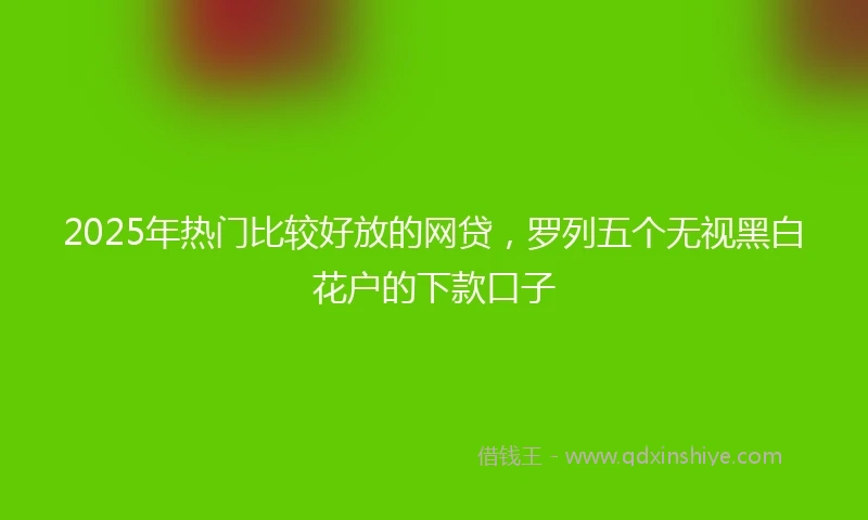 2025年热门比较好放的网贷，罗列五个无视黑白花户的下款口子