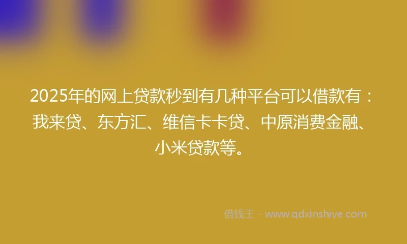 2025年的网上贷款秒到有几种平台可以借款有：我来贷、东方汇、维信卡卡贷、中原消费金融、小米贷款等。