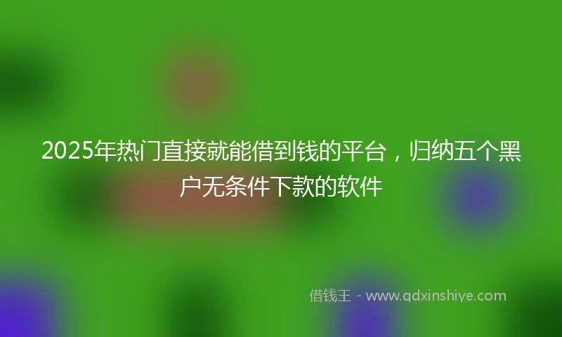 2025年热门直接就能借到钱的平台，归纳五个黑户无条件下款的软件