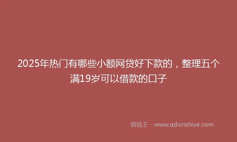 2025年热门有哪些小额网贷好下款的，整理五个满19岁可以借款的口子