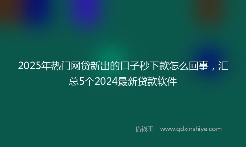 2025年热门网贷新出的口子秒下款怎么回事，汇总5个2024最新贷款软件