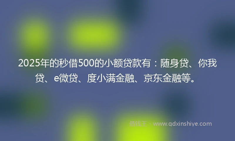2025年的秒借500的小额贷款有：随身贷、你我贷、e微贷、度小满金融、京东金融等。