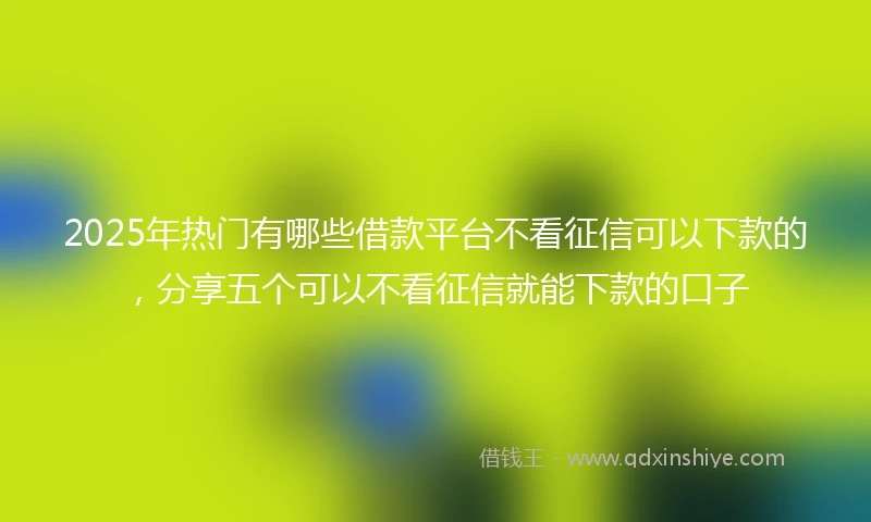 2025年热门有哪些借款平台不看征信可以下款的，分享五个可以不看征信就能下款的口子