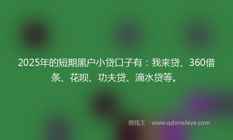 2025年的短期黑户小贷口子有：我来贷、360借条、花呗、功夫贷、滴水贷等。