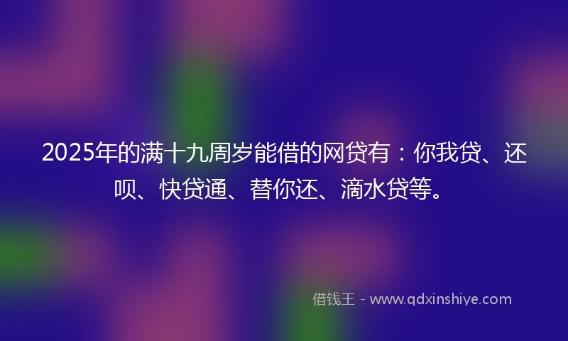 2025年的满十九周岁能借的网贷有：你我贷、还呗、快贷通、替你还、滴水贷等。