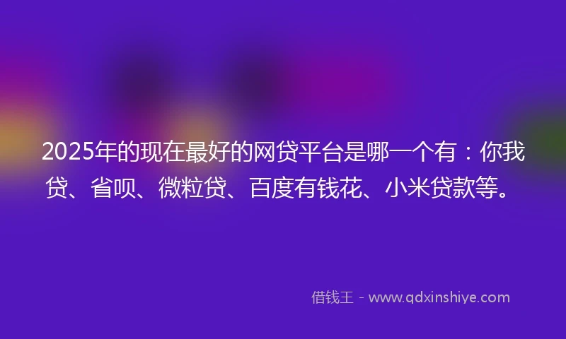 2025年的现在最好的网贷平台是哪一个有：你我贷、省呗、微粒贷、百度有钱花、小米贷款等。