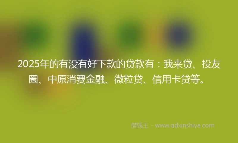2025年的有没有好下款的贷款有：我来贷、投友圈、中原消费金融、微粒贷、信用卡贷等。