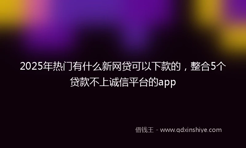 2025年热门有什么新网贷可以下款的，整合5个贷款不上诚信平台的app