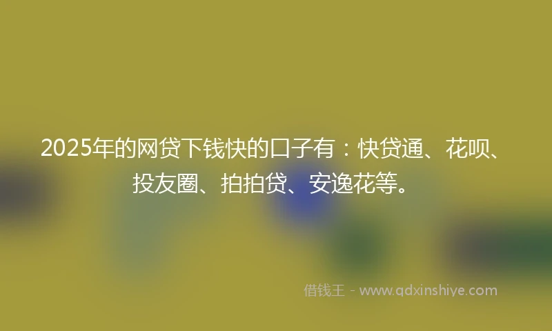 2025年的网贷下钱快的口子有：快贷通、花呗、投友圈、拍拍贷、安逸花等。