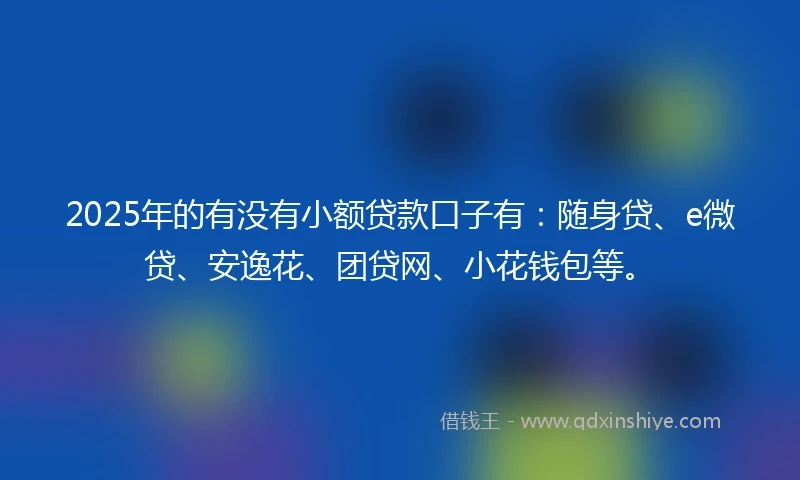2025年的有没有小额贷款口子有：随身贷、e微贷、安逸花、团贷网、小花钱包等。