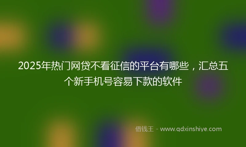 2025年热门网贷不看征信的平台有哪些，汇总五个新手机号容易下款的软件