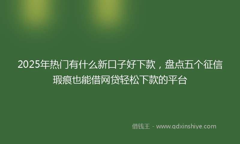 2025年热门有什么新口子好下款，盘点五个征信瑕疵也能借网贷轻松下款的平台