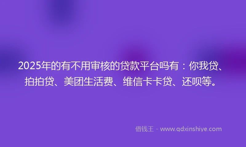 2025年的有不用审核的贷款平台吗有：你我贷、拍拍贷、美团生活费、维信卡卡贷、还呗等。