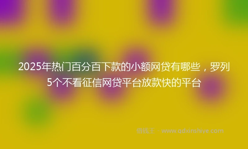2025年热门百分百下款的小额网贷有哪些，罗列5个不看征信网贷平台放款快的平台