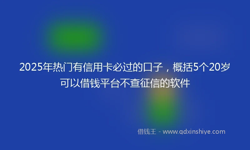 2025年热门有信用卡必过的口子，概括5个20岁可以借钱平台不查征信的软件