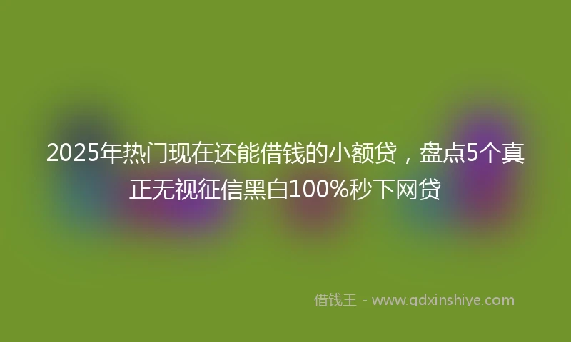 2025年热门现在还能借钱的小额贷，盘点5个真正无视征信黑白100%秒下网贷