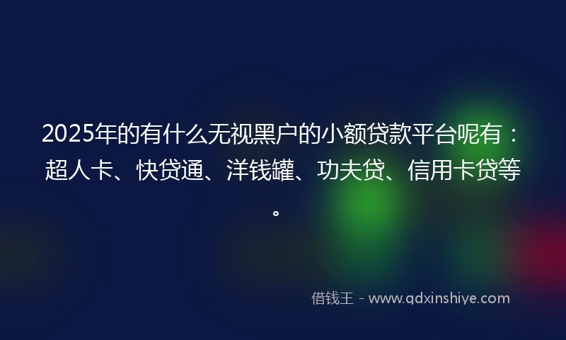 2025年的有什么无视黑户的小额贷款平台呢有：超人卡、快贷通、洋钱罐、功夫贷、信用卡贷等。