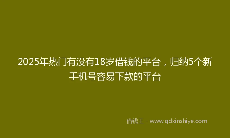 2025年热门有没有18岁借钱的平台，归纳5个新手机号容易下款的平台