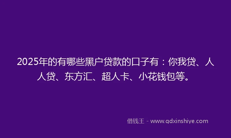 2025年的有哪些黑户贷款的口子有：你我贷、人人贷、东方汇、超人卡、小花钱包等。