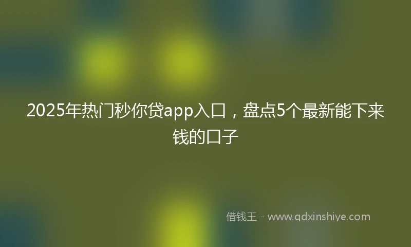 2025年热门秒你贷app入口，盘点5个最新能下来钱的口子