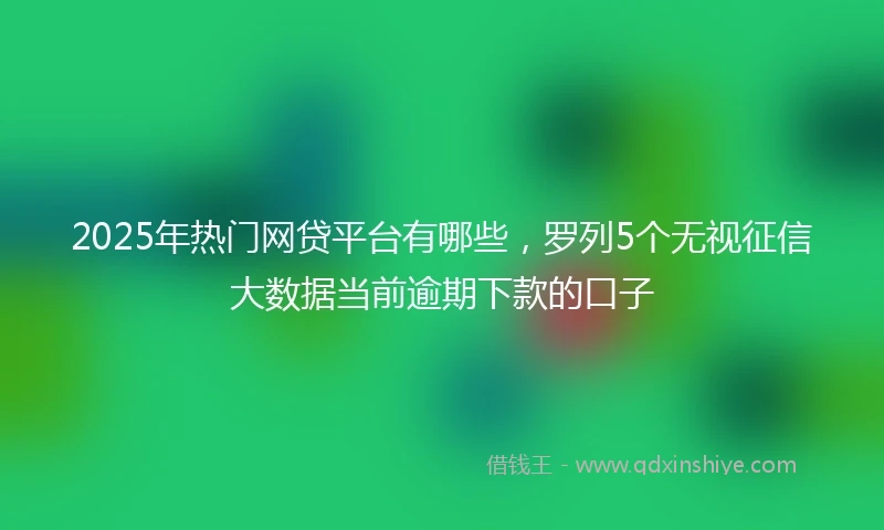 2025年热门网贷平台有哪些，罗列5个无视征信大数据当前逾期下款的口子