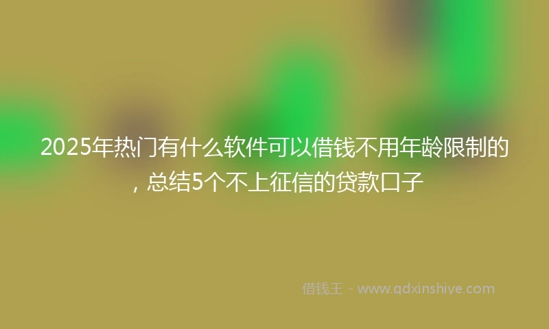 2025年热门有什么软件可以借钱不用年龄限制的，总结5个不上征信的贷款口子