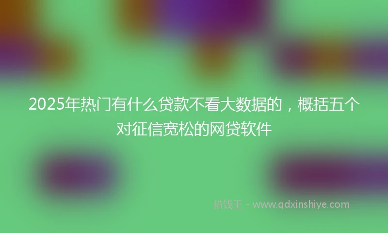 2025年热门有什么贷款不看大数据的，概括五个对征信宽松的网贷软件
