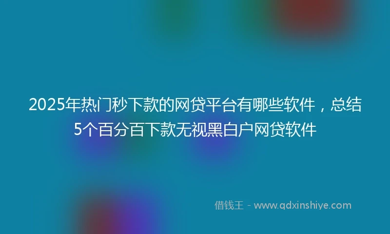 2025年热门秒下款的网贷平台有哪些软件，总结5个百分百下款无视黑白户网贷软件