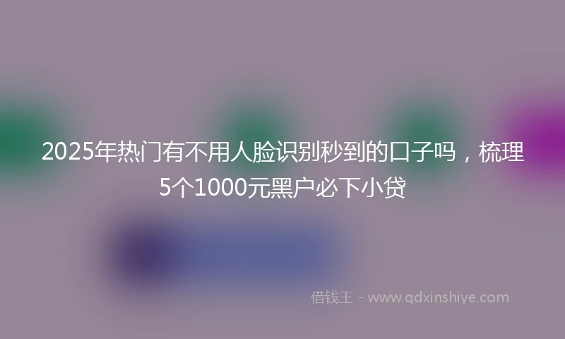 2025年热门有不用人脸识别秒到的口子吗，梳理5个1000元黑户必下小贷