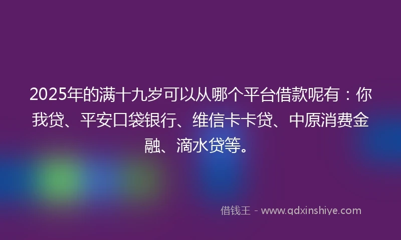 2025年的满十九岁可以从哪个平台借款呢有：你我贷、平安口袋银行、维信卡卡贷、中原消费金融、滴水贷等。