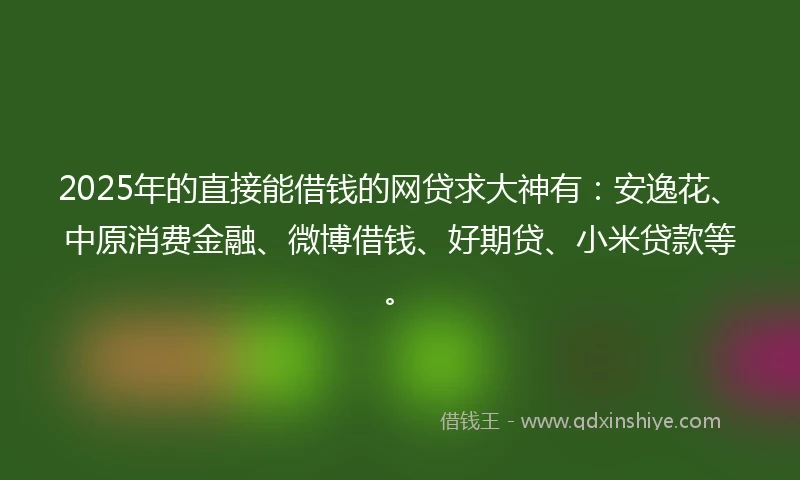 2025年的直接能借钱的网贷求大神有：安逸花、中原消费金融、微博借钱、好期贷、小米贷款等。