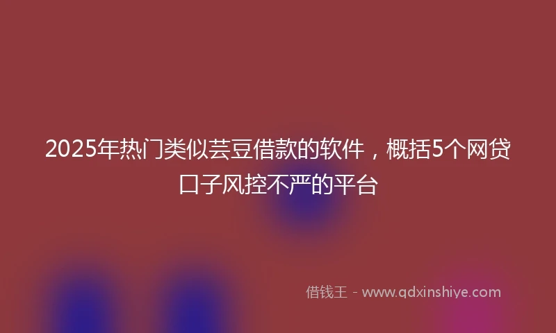 2025年热门类似芸豆借款的软件，概括5个网贷口子风控不严的平台