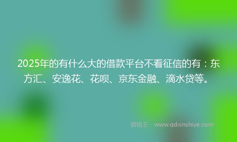 2025年的有什么大的借款平台不看征信的有：东方汇、安逸花、花呗、京东金融、滴水贷等。