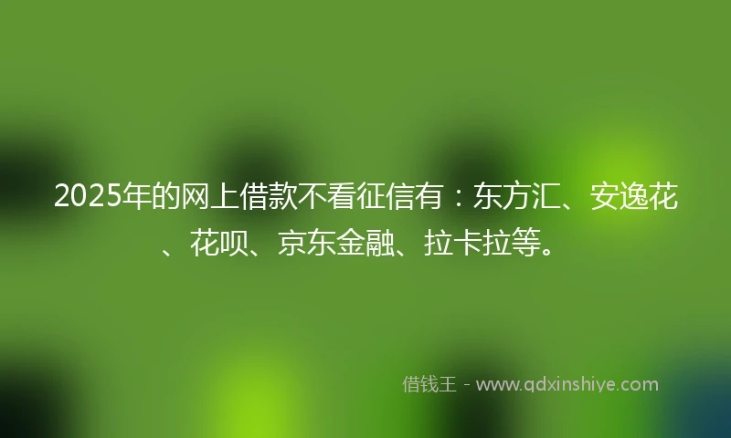 2025年的网上借款不看征信有：东方汇、安逸花、花呗、京东金融、拉卡拉等。