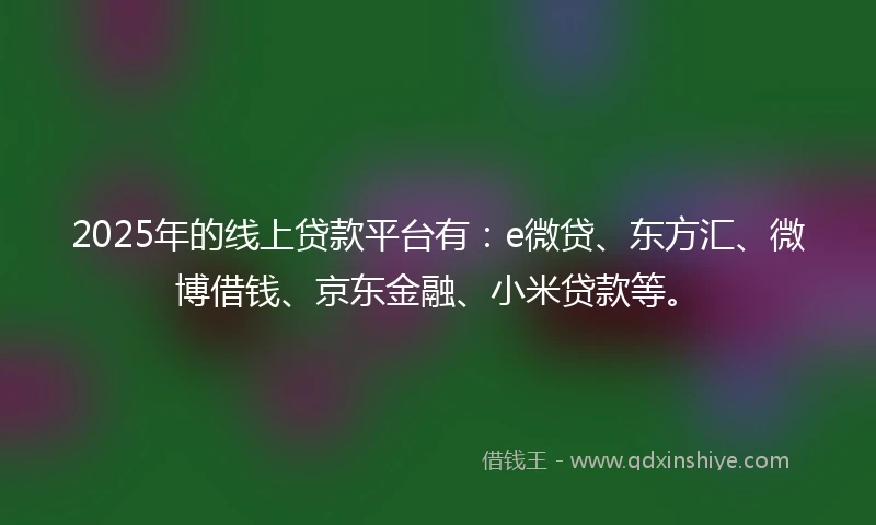 2025年的线上贷款平台有：e微贷、东方汇、微博借钱、京东金融、小米贷款等。