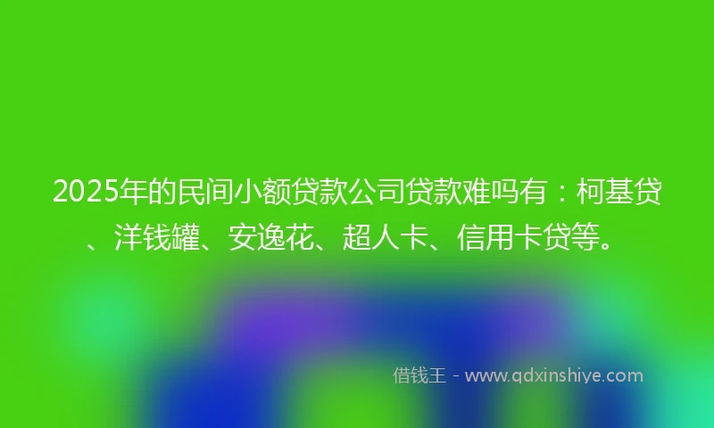 2025年的民间小额贷款公司贷款难吗有：柯基贷、洋钱罐、安逸花、超人卡、信用卡贷等。