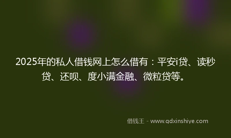 2025年的私人借钱网上怎么借有：平安i贷、读秒贷、还呗、度小满金融、微粒贷等。