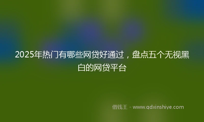 2025年热门有哪些网贷好通过，盘点五个无视黑白的网贷平台