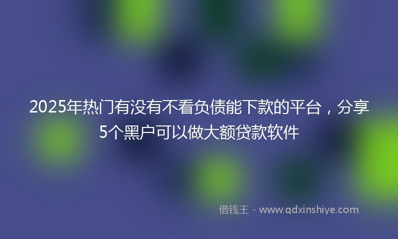 2025年热门有没有不看负债能下款的平台，分享5个黑户可以做大额贷款软件