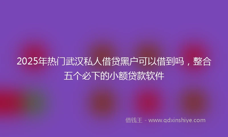 2025年热门武汉私人借贷黑户可以借到吗，整合五个必下的小额贷款软件