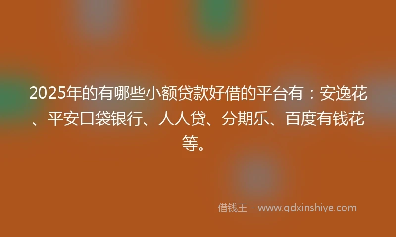 2025年的有哪些小额贷款好借的平台有：安逸花、平安口袋银行、人人贷、分期乐、百度有钱花等。