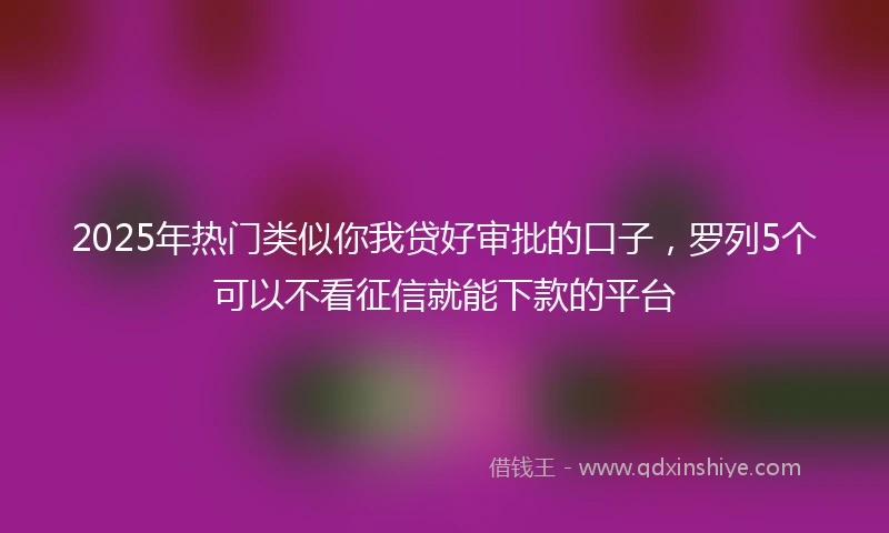 2025年热门类似你我贷好审批的口子，罗列5个可以不看征信就能下款的平台