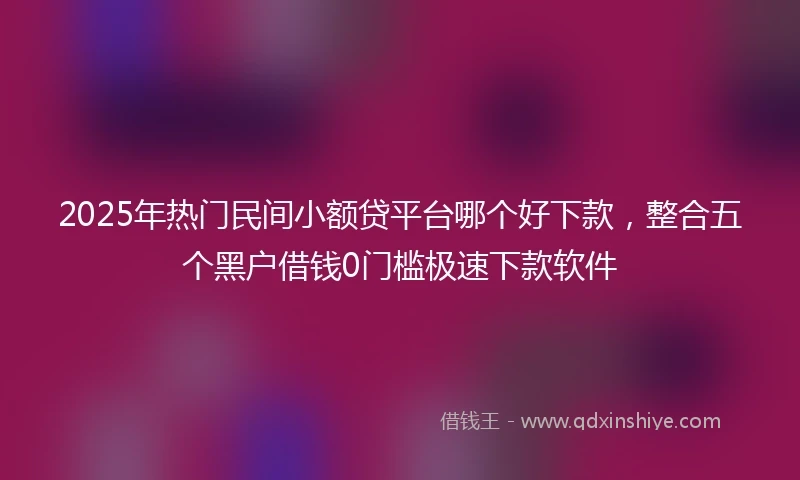 2025年热门民间小额贷平台哪个好下款，整合五个黑户借钱0门槛极速下款软件